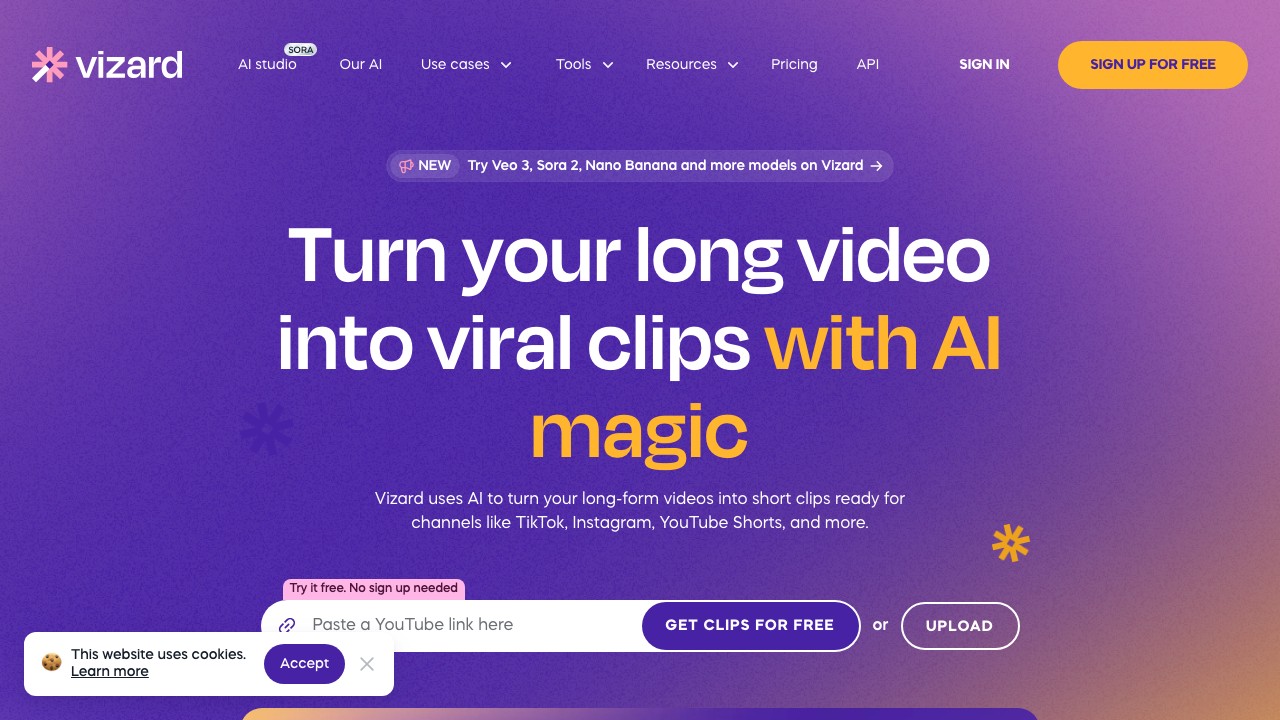 Vizard